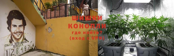 бошки Балахна